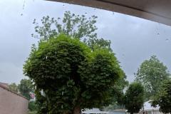 DCIM100GOPROGOPR0044.JPG
