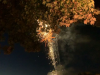 vlcsnap-2019-07-08-16h11m51s508